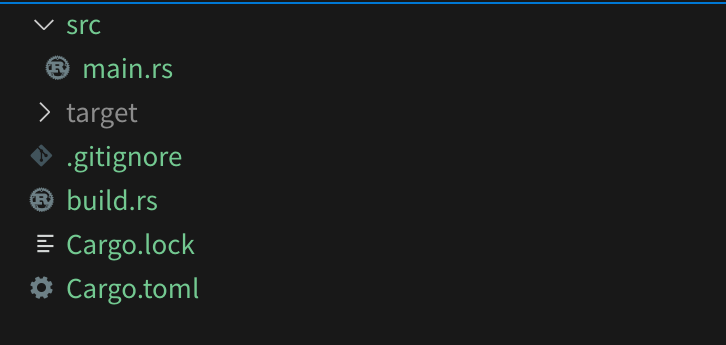 build.rs project dir